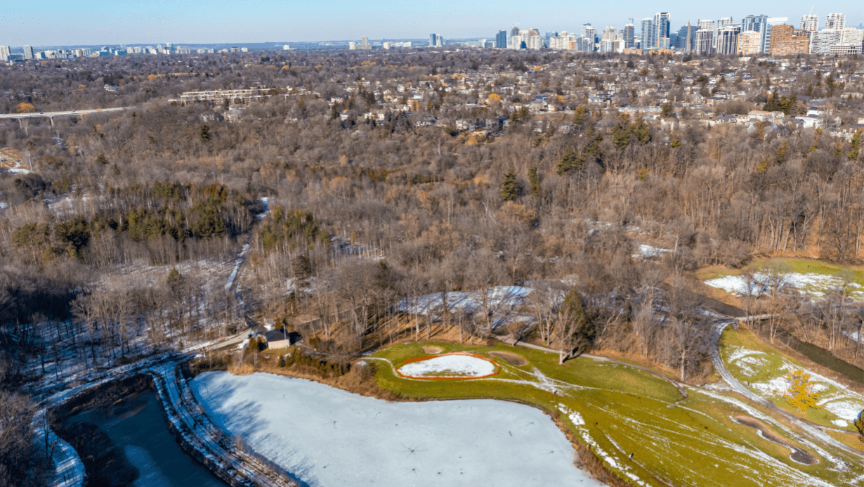 North York: A Diverse and Dynamic Locale for Senior Living