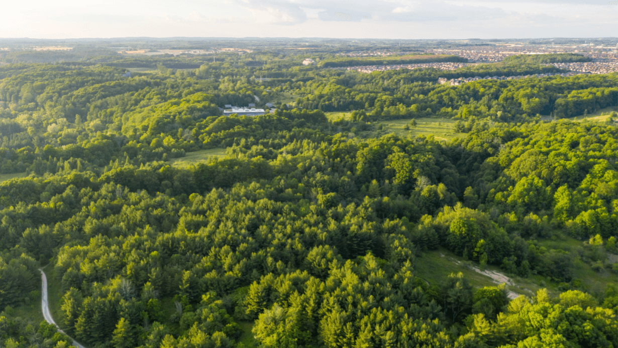 Woodbridge: A Peaceful and Diverse Suburban Retreat for Senior Living